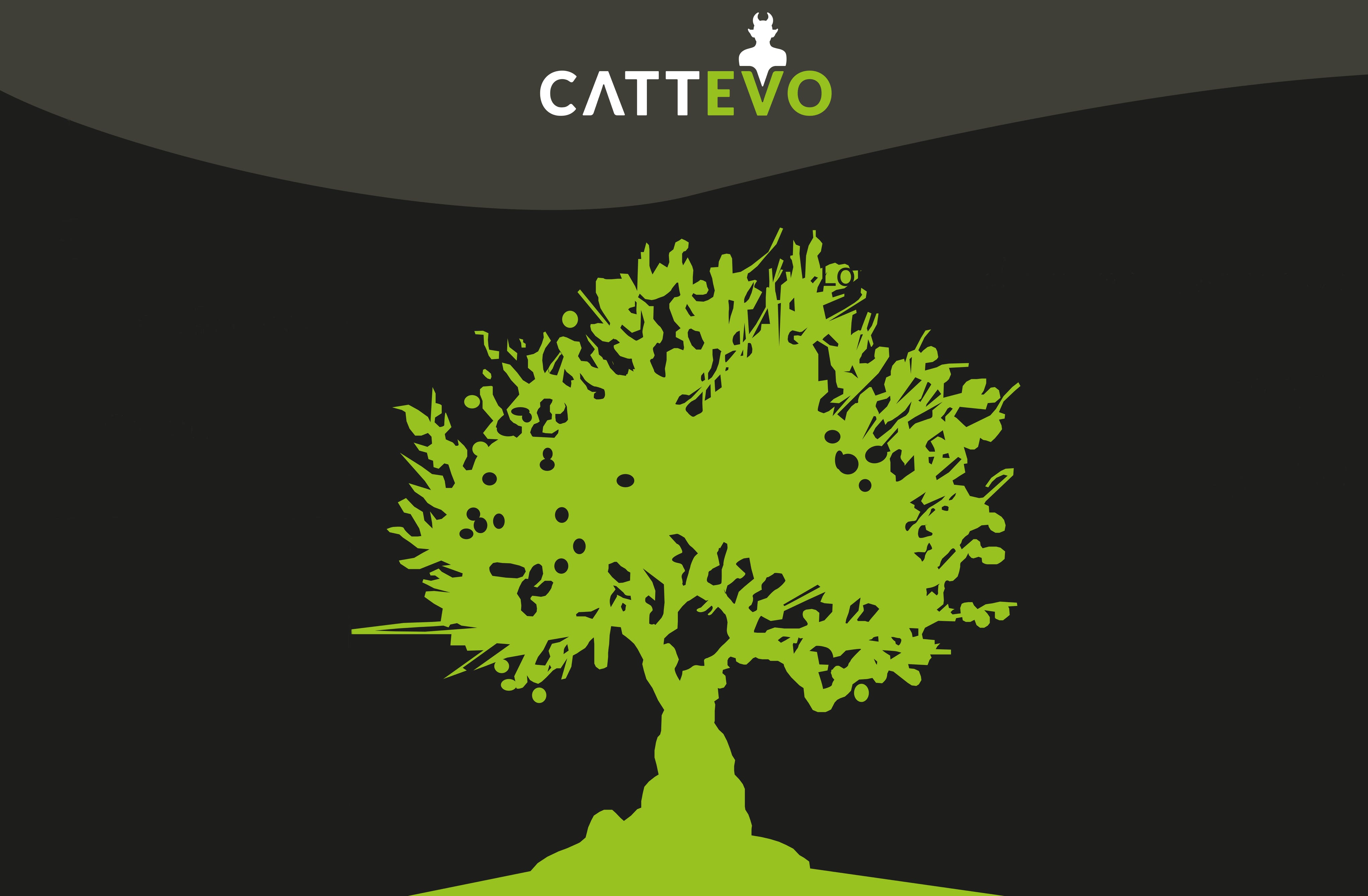 Galleria Cattevo