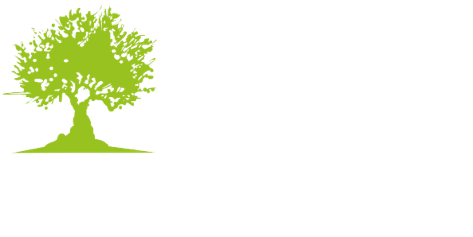 Olio extravergine di oliva di lusso Olio EVO gourmet Olio extravergine per alta cucina Olio EVO per ristoranti stellati Olio EVO di categoria superiore Olio extravergine per intenditori gourmet olio "pulito" senza residui di fitosanitari Olio extravergine di oliva per ristoranti stellati Milano Torino Venezia Olio EVO per gastronomia di alta qualità Olio extravergine per hotel di lusso